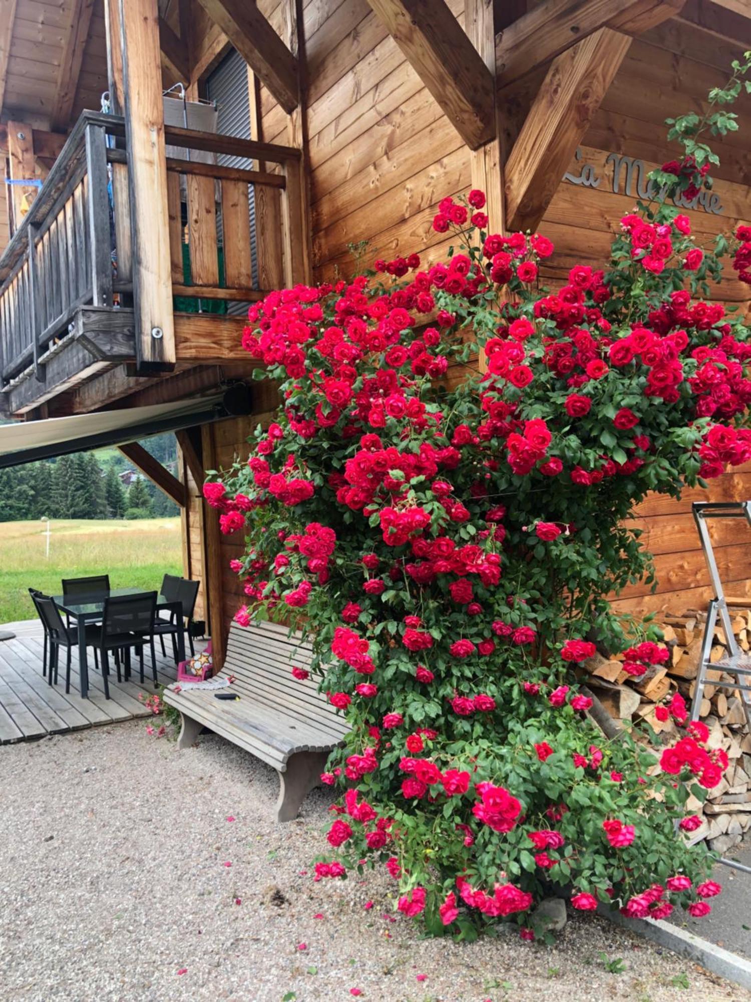 Chalet La Merlerie Morzine Exterior foto